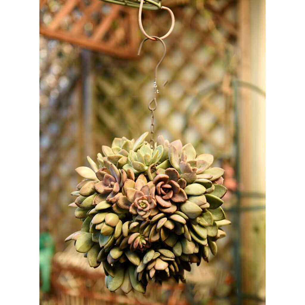 2Pcs 15cm Iron Ball Shape Succulent Pot Metal Hanging Planter Plant Holder