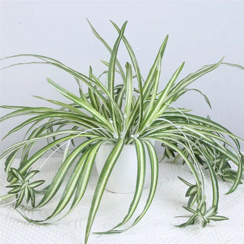 Artificial Silk Plant Hanging Office Home Garden Chlorophytum Comosum Greenery