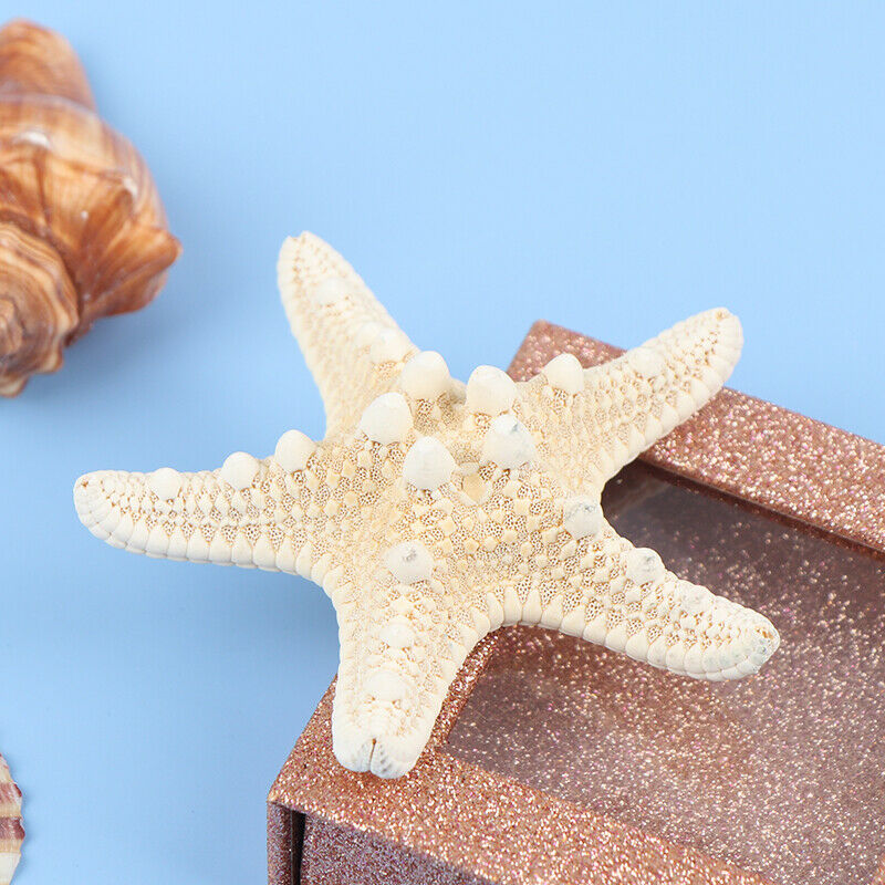 Starfish Crafts Decor Starfish DIY Shell Sea Fish Party Beige Starfish Decor Fx
