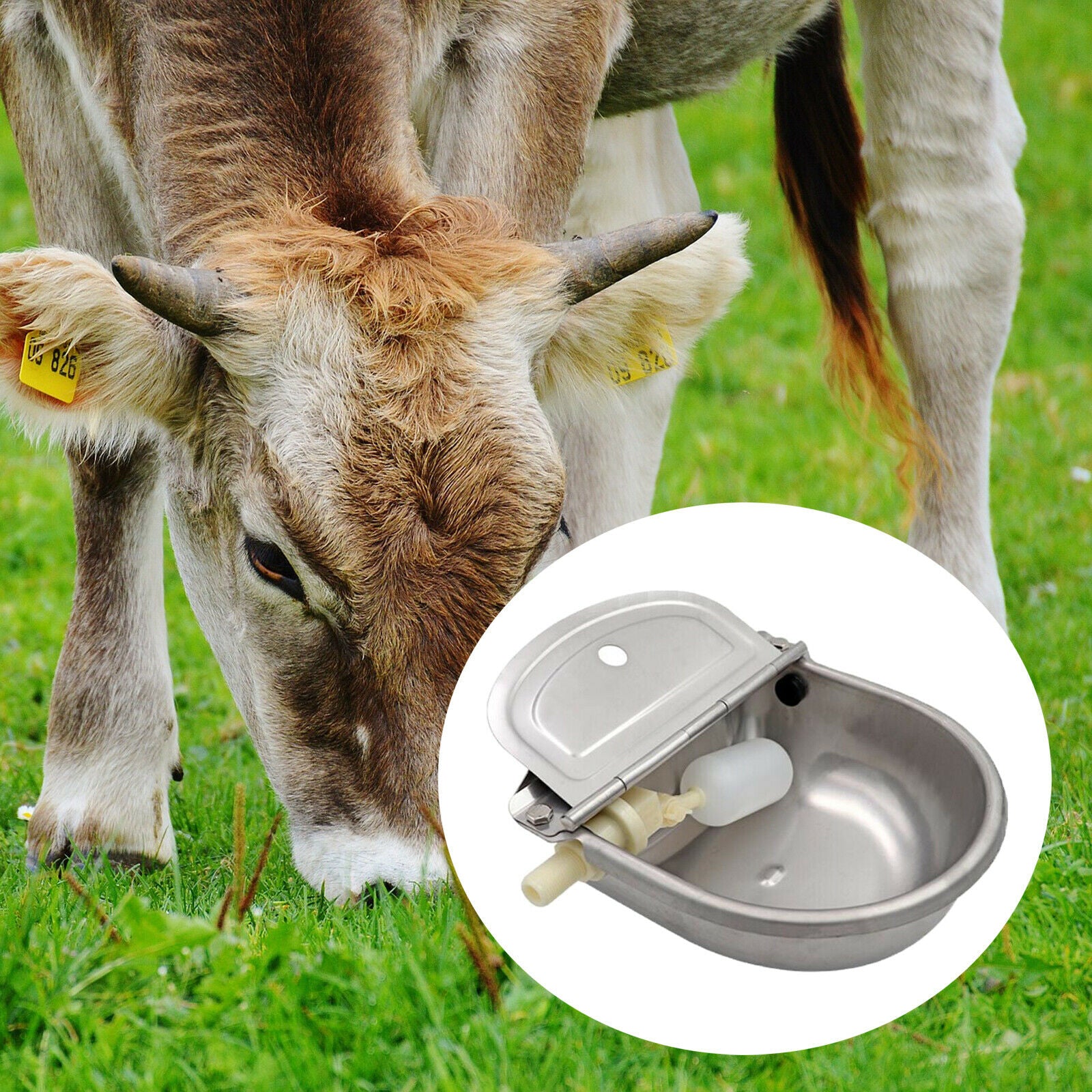 Automatic Stock Feeder Trough Bowl Dispenser Waterer Drinking Waterer