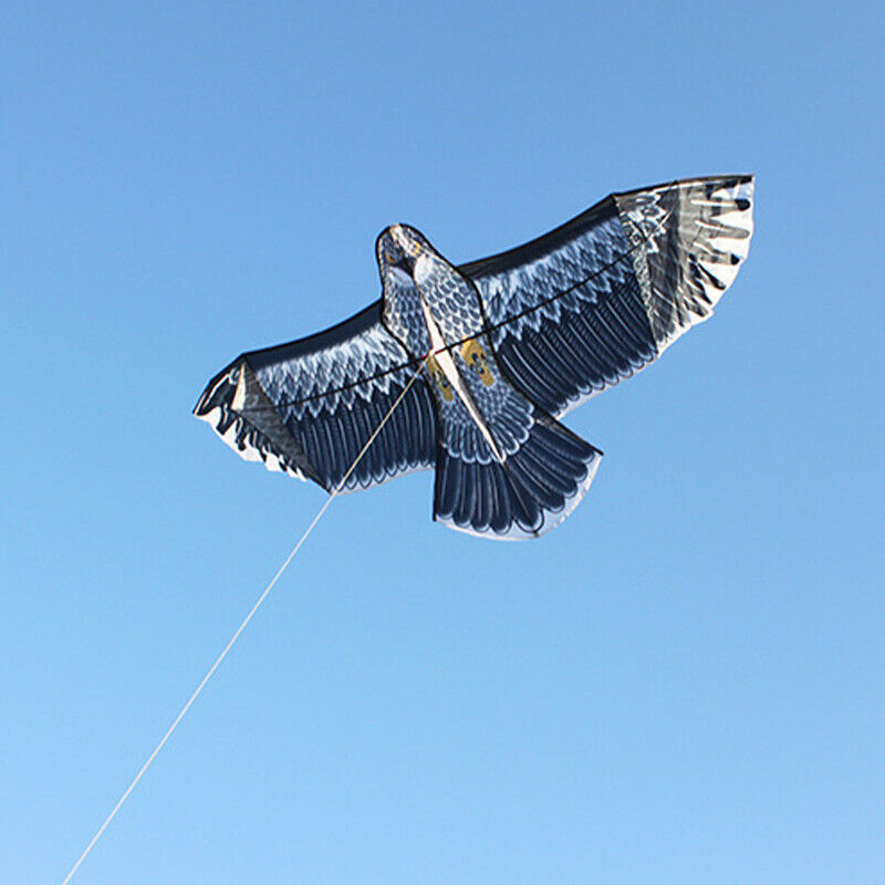 New Huge 1.5m Eagle Kite single line Novelty animal Kites Children's toys US HOT