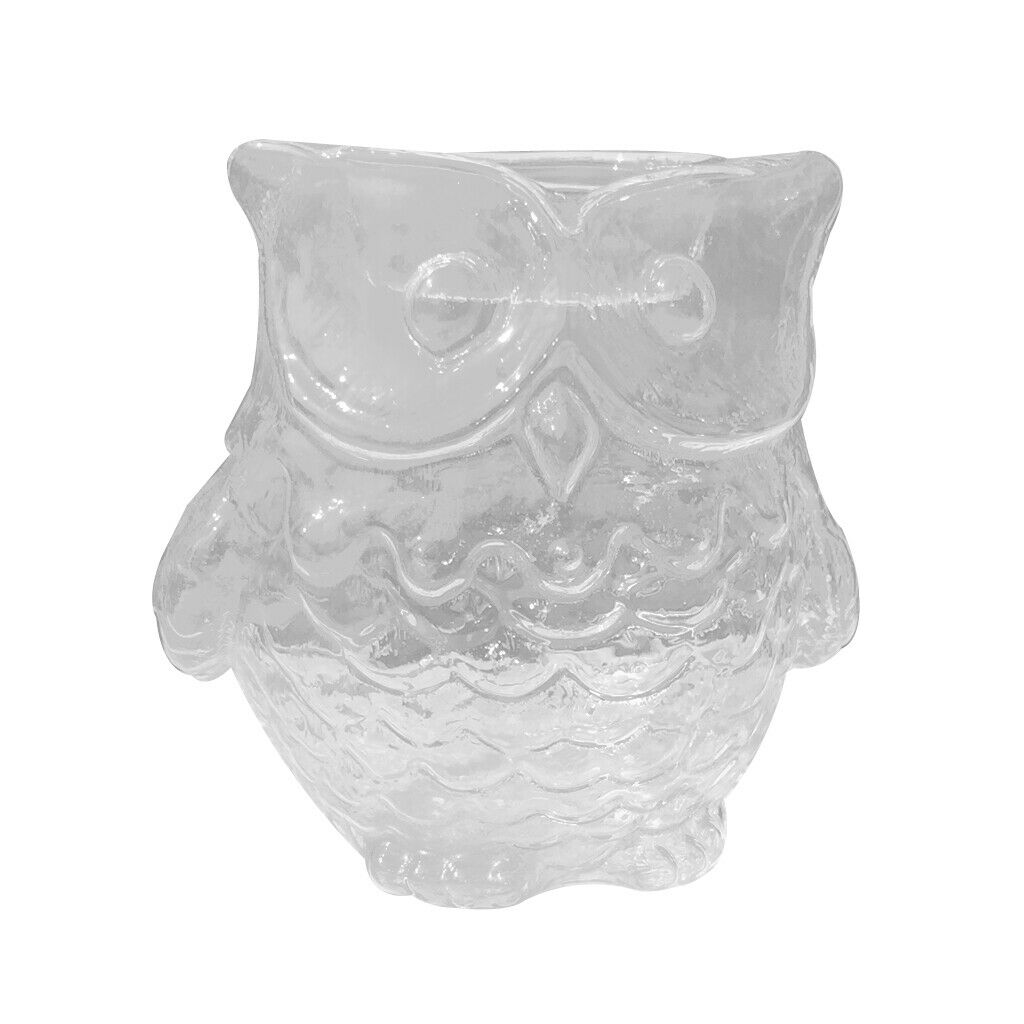 Glass Flower Planter Hydroponic Vase Terrarium Container