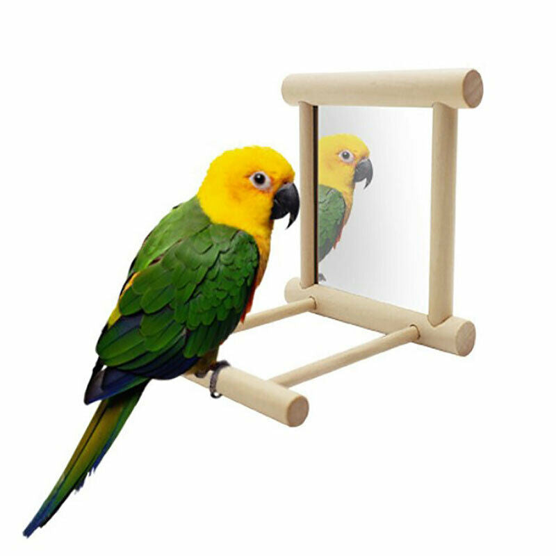 Pets Bird Parakeet Cockatiel Budgie Parrot Hanging Swing Rope Cage Traini.l8