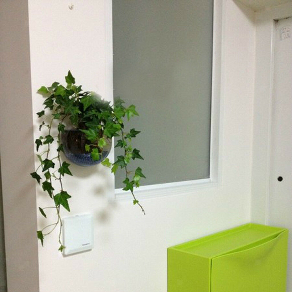 Wall Mouted Creative Hanging Glass Flower Vase Hydroponics Bottle   Bowl