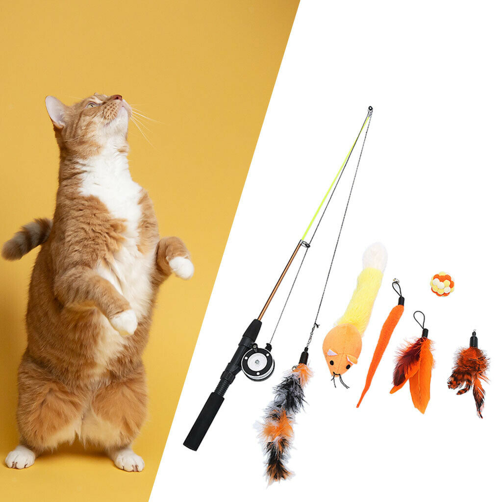 Cats Kitten Feather Interactive Teaser Extendable Wand Toys with 6 Refills