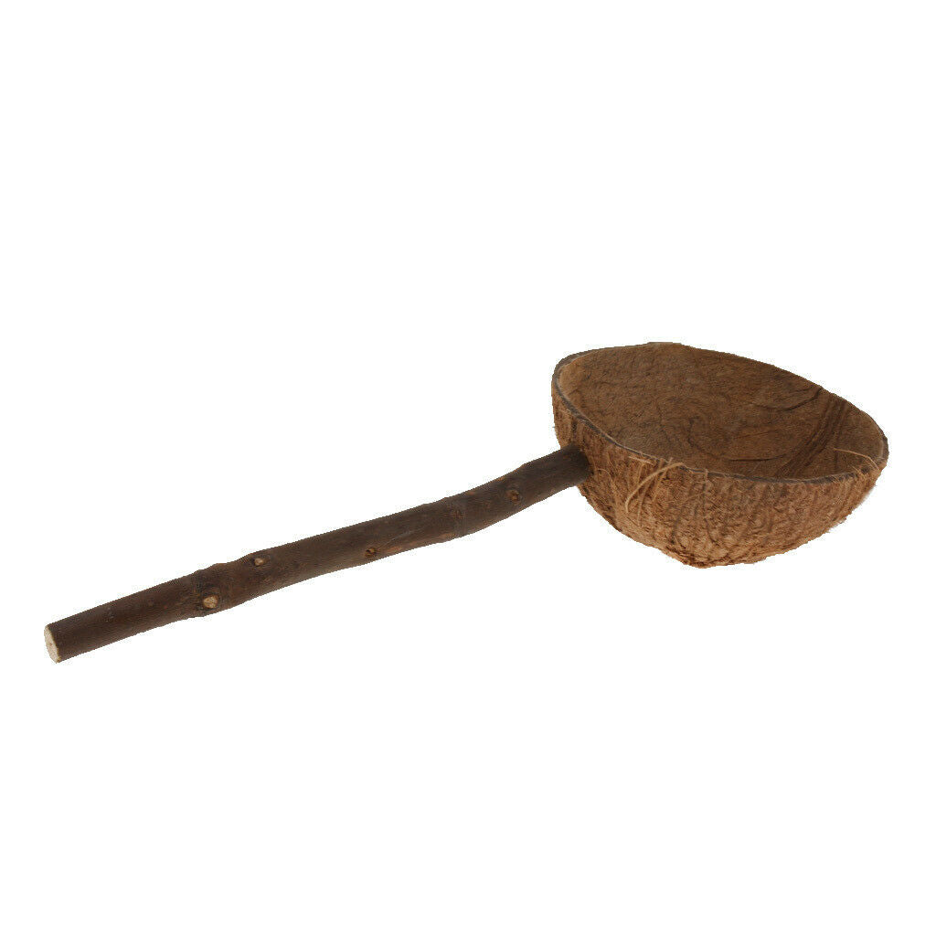 Bird Chew Perch Stand Stick with Coconut Shell Bowl Hamster Rat Feeding