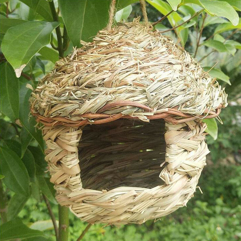 Handwoven Parrot Birdhouse Natural Craft Garden Tree Decor Photo Props