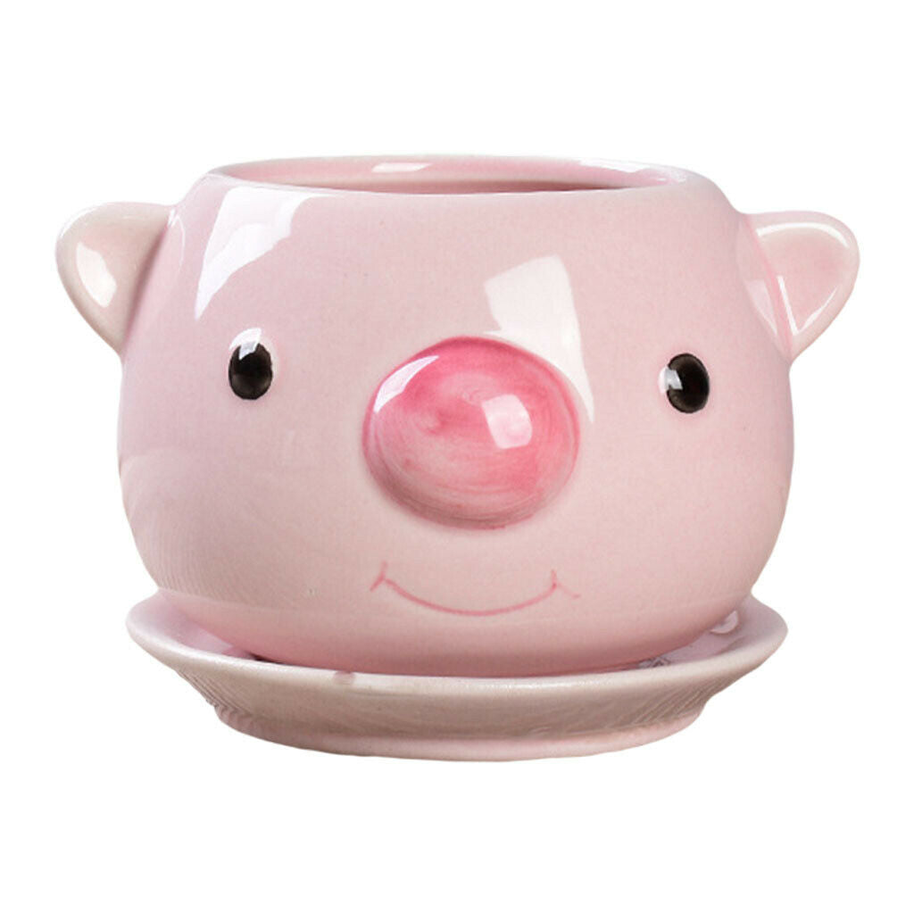 Cartoon Cute Succulent Pots Flower Pot Cactus Bonsai Plants Planter Home Pig