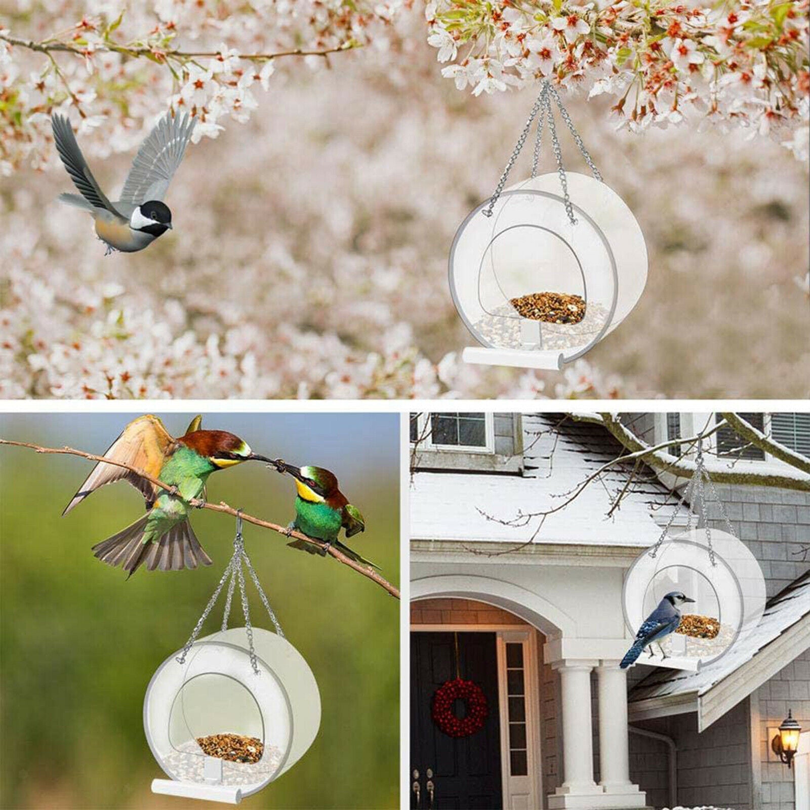 Clear Bird Feeder Kit Hanging Birdhouse for Small Medium Large Bird