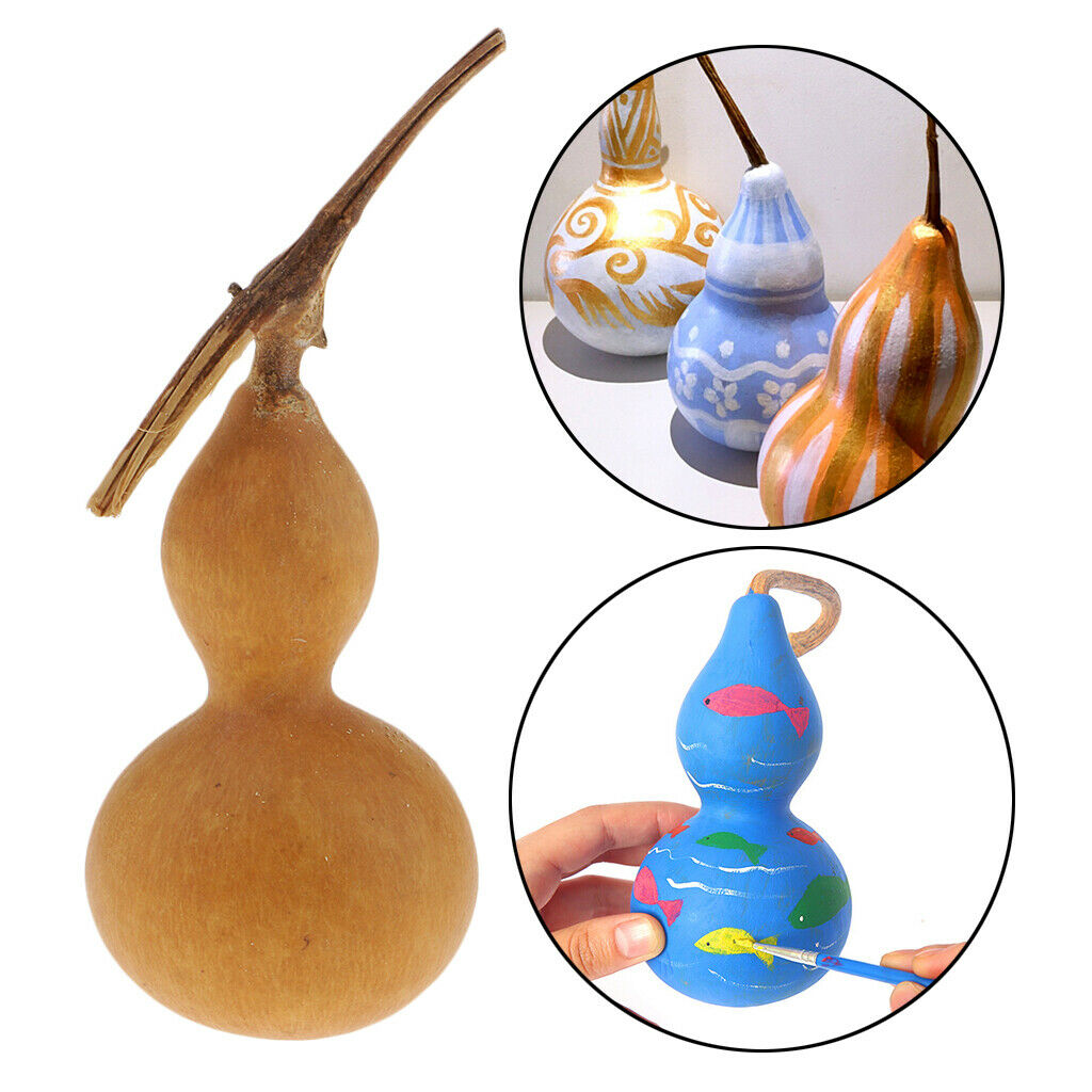 Natural Dried Gourd Fruit Crafts Home Table Accent Decor Ornament DIY Painting