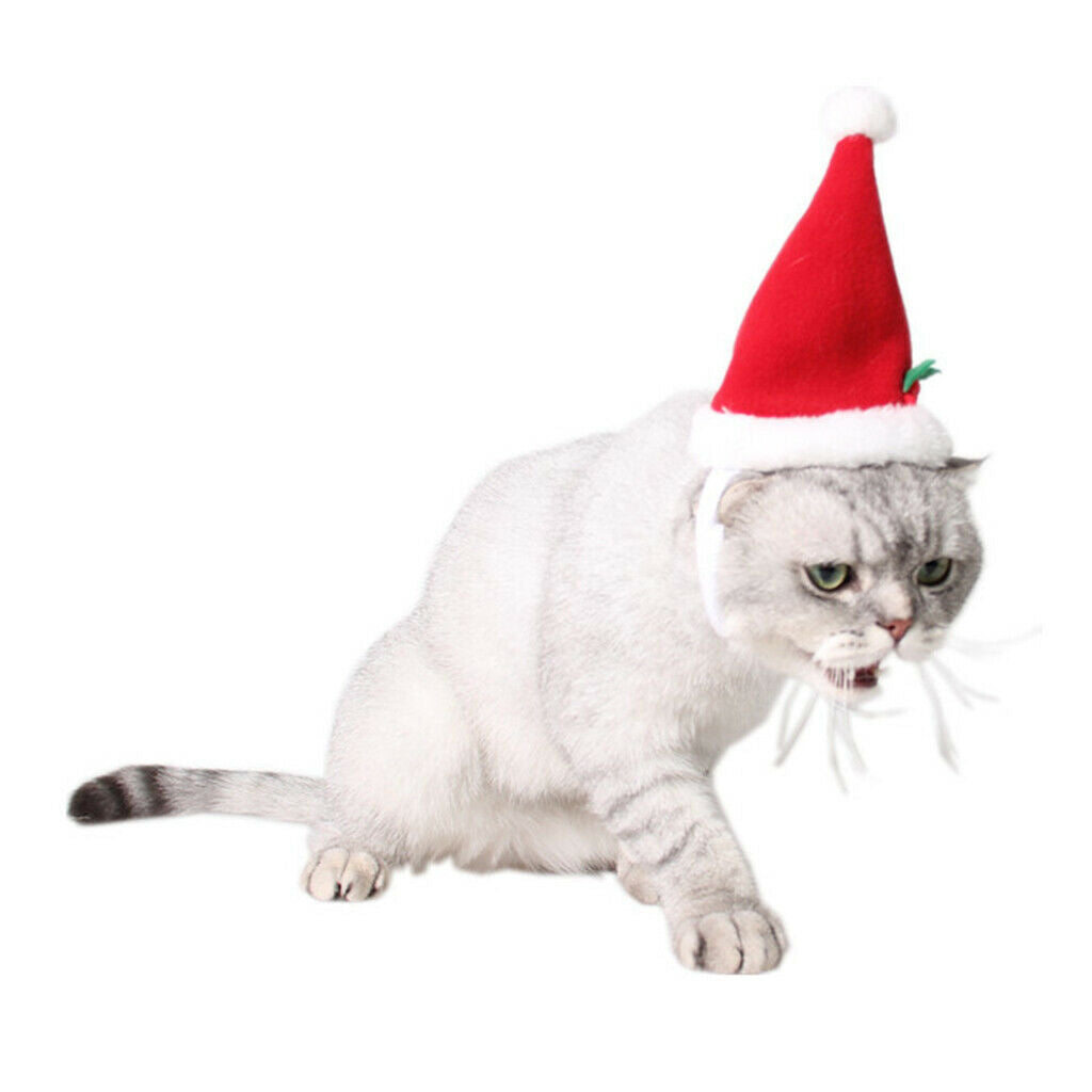 Dog Cat Pets Santa Hat Christmas Costume for Puppy Kitten Small Cats Dogs