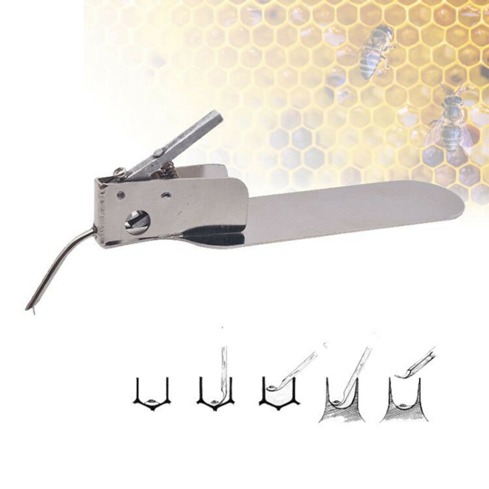 Worm Grafting Tool Equipment for Moving Queen Bee Larva Transferring Tool