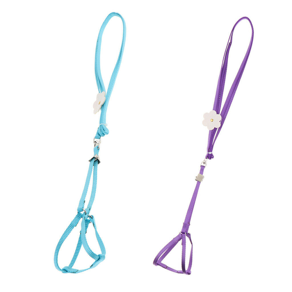 2 Pieces Safe Pet Rope Light Leash Carrying Durable Bird Rope Suitable for