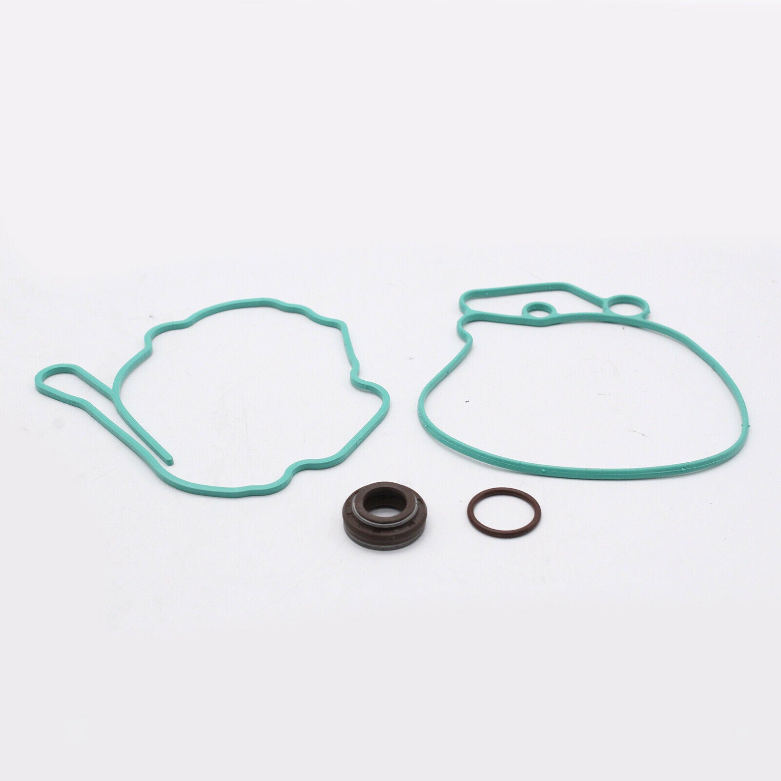 Complete Vacuum Fuel Tandem Pump Repair Gasket Kit for