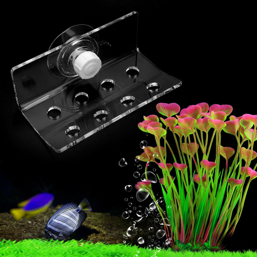 Aquarium Acrylic Coral Rack Fish Tank Coral Frag Holder Bracket W/ Suction Cup