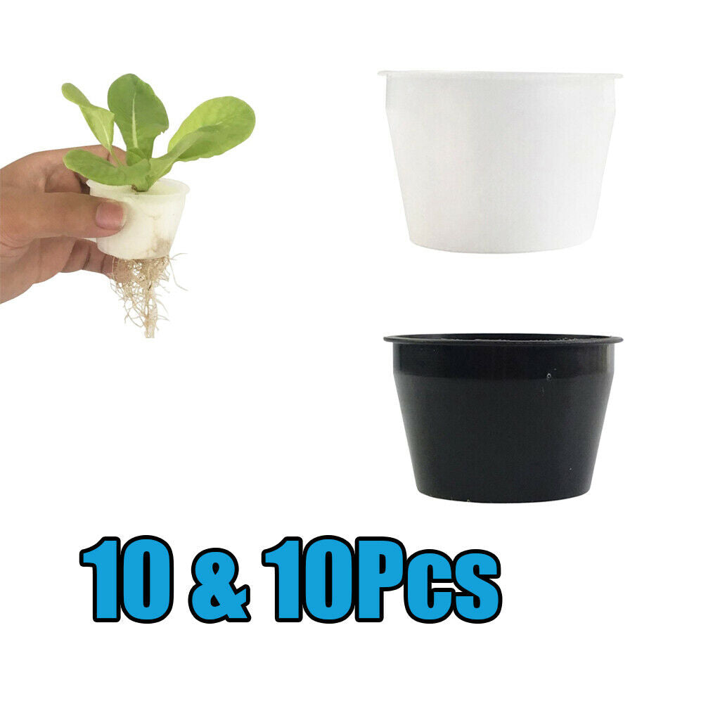 Set of 20 Hydroponic Planting Basket Pots for Planting Orchids Peppers Herbs