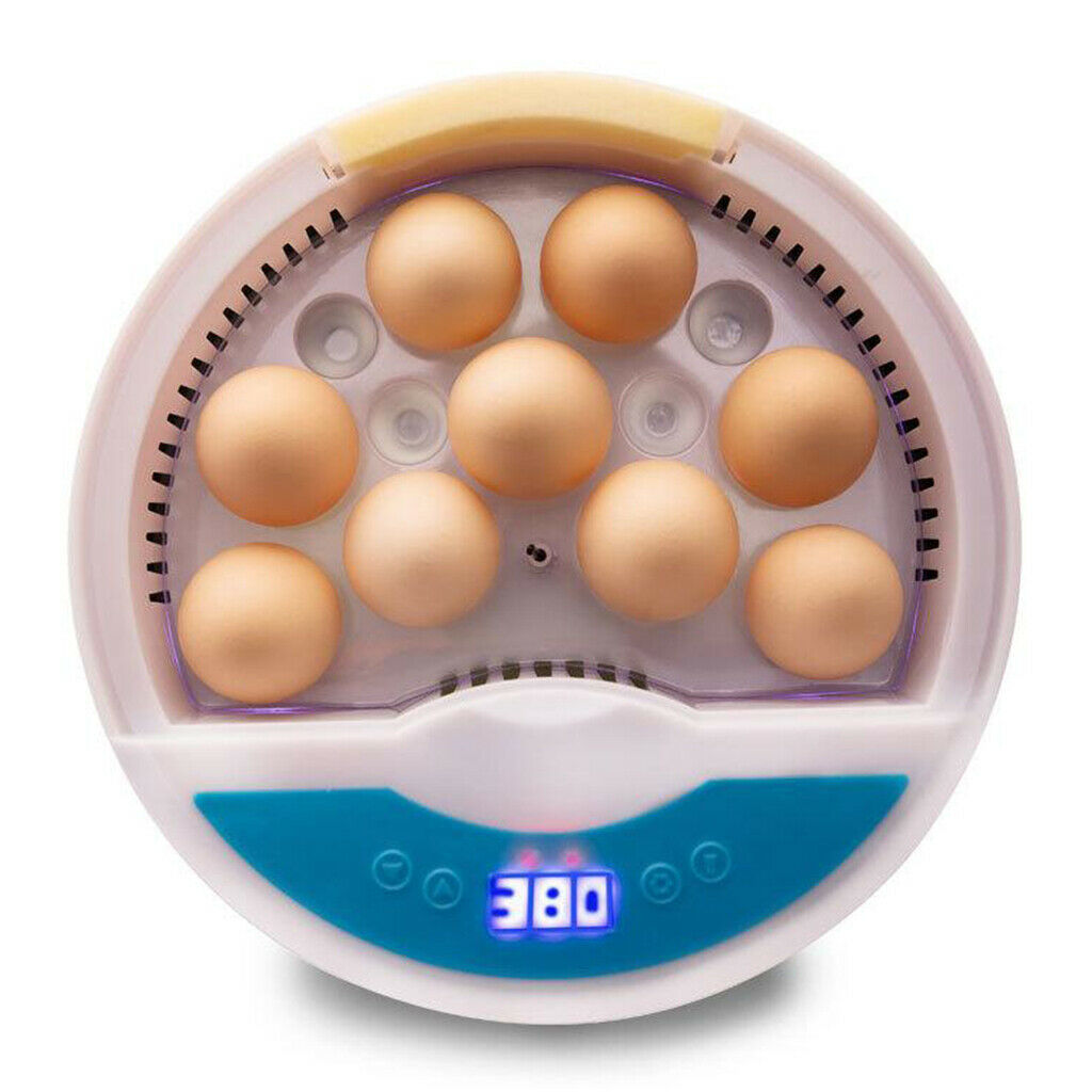 Digital Mini Fully Automatic Egg Incubator with Low Noise Ceramic heater, 9 Eggs