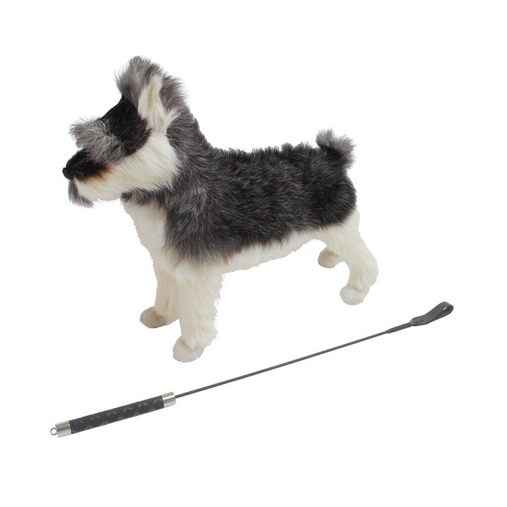 Pet Protective Equipment Training Stick