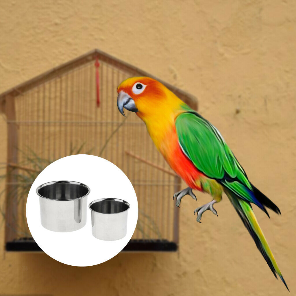 4pcs Parrot Macaws Food Feeder Small Pet Feeding Cup For Medium Macaws
