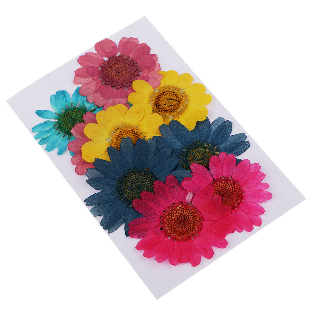 20 Pieces Natural Real Dried Pressed Flowers For Art Craft DIY Scrapbooking
