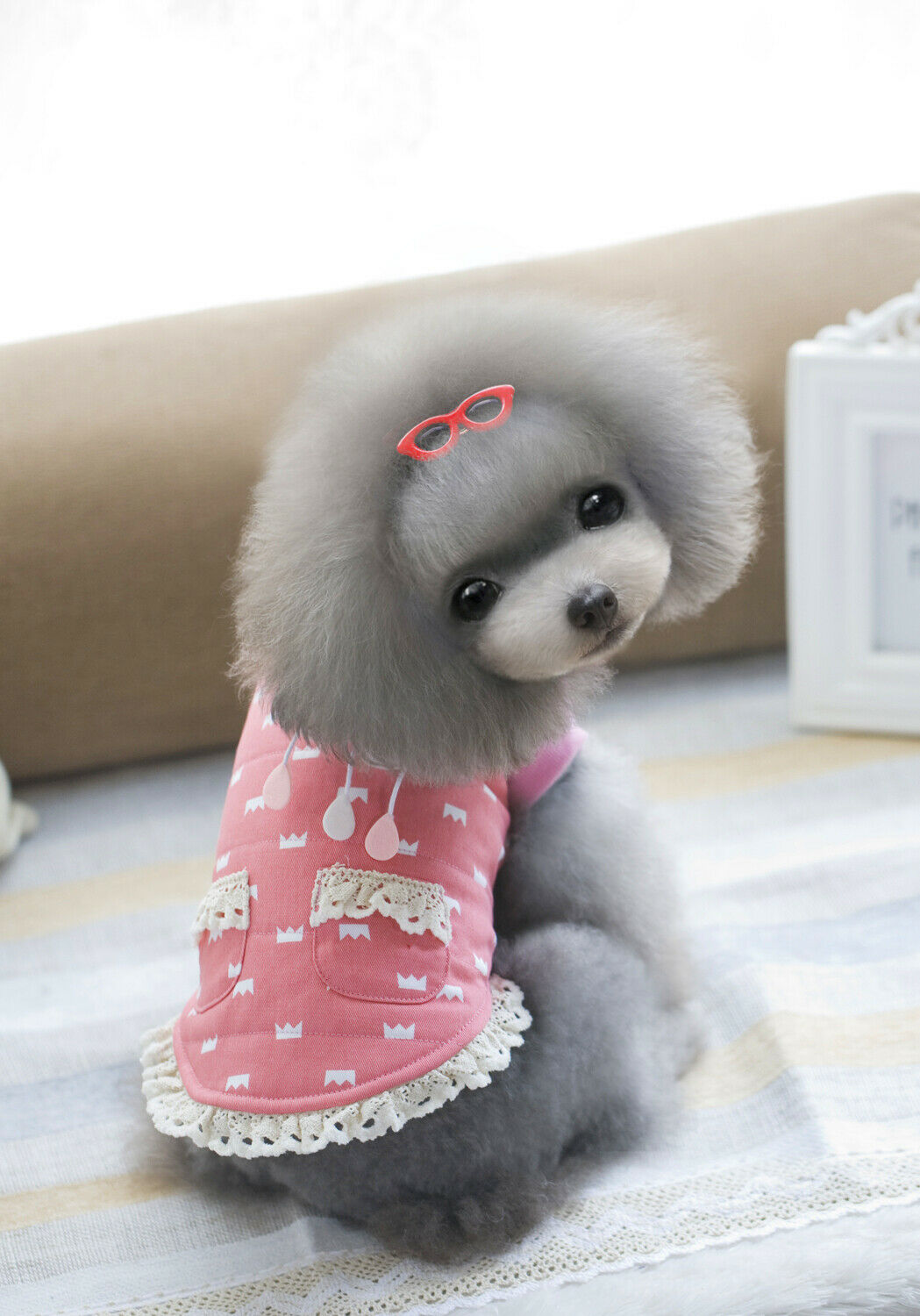 Pet Dog Cat Puppy Cute Soft Vest Hoodie Jacket Clothes Coat Apparel Rosy XL