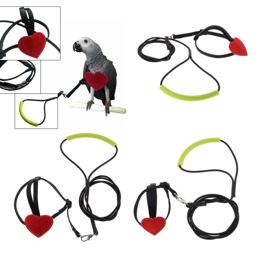 Adjustable Elastic Parrot Bird Leash for Budgerigar Lovebird Cockatiel 105cm