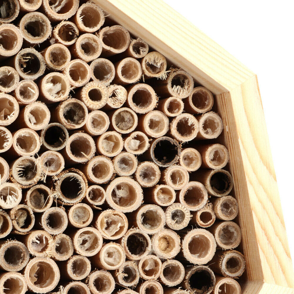 Handing Wooden Insect Bee House Natural Wood Bug Shelter Garden Nest Box Decor