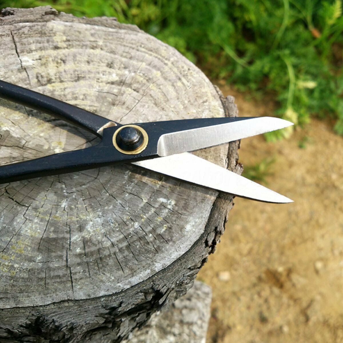 Beginner Bonsai Shear Tools Master Long Handle Scissors 200mm 8'' Steel Black