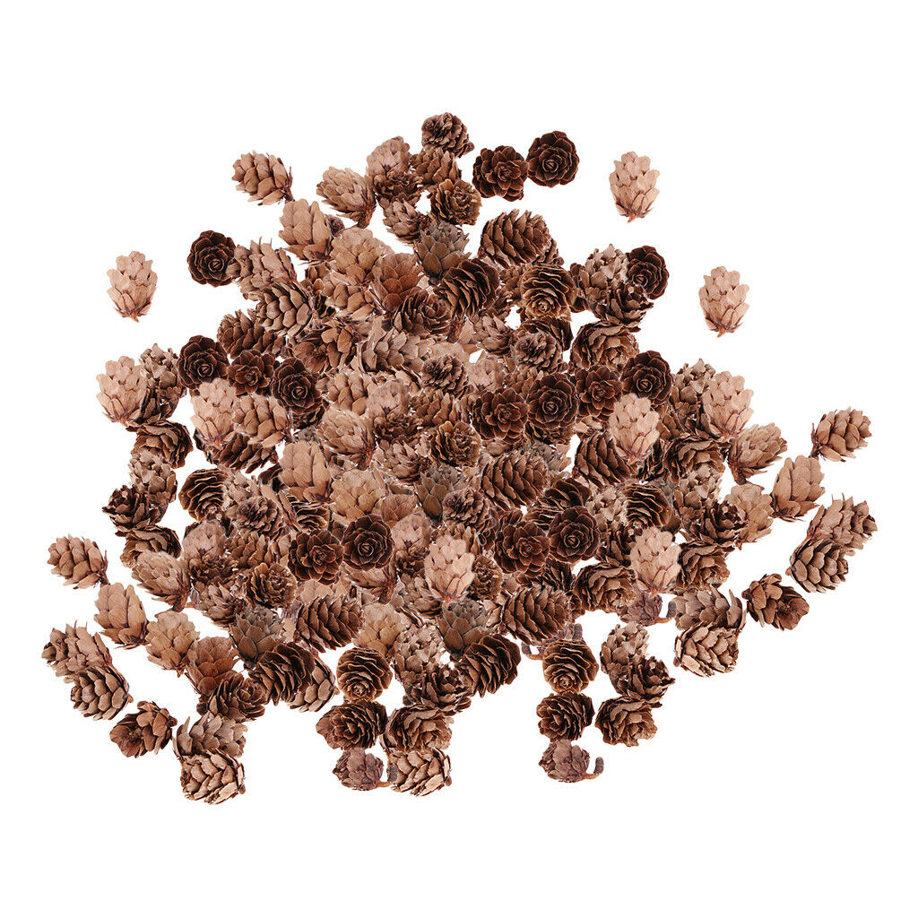 300 Pieces  Natural Pine Cones Christmas Natural Pine Cones Ornaments for