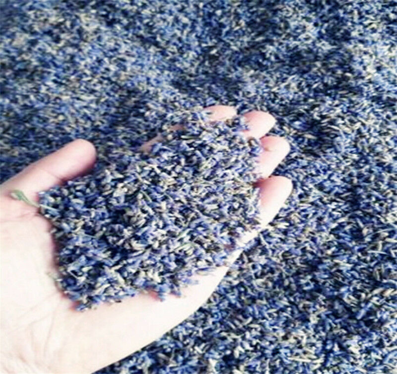 Lavender Bulk Buds Dried Flowers Blooms Florals for Dried Granular Fill 1oz