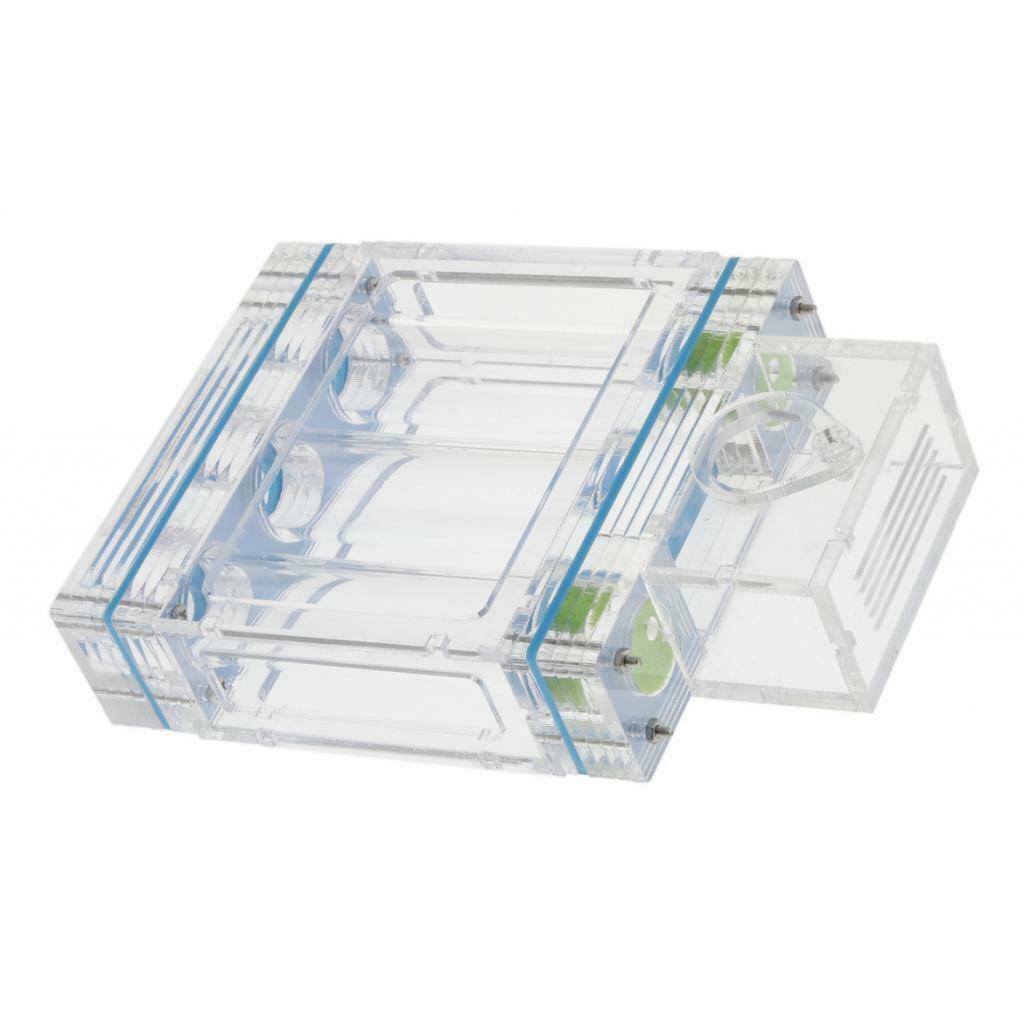 1pc Ant Nest Housing Ant Farm Box Formicarium Display Case Small Large Ant