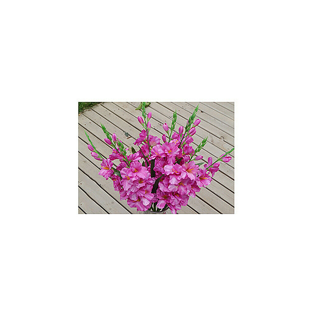 2 Pack Natural Artificial Silk Long Gladiolas with Stem, Silk Flower