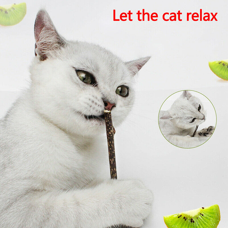 Catnip Chewing Teeth Cleaning Treats Lollipop Natural Catnip Lollipop Sh .l8
