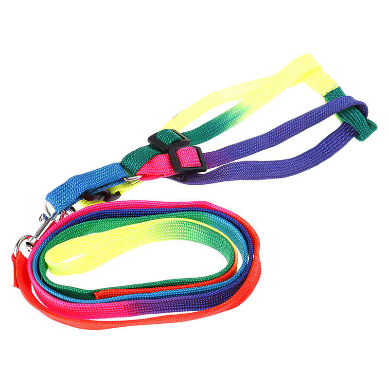 1 Pcs Elastic Rubber Band Tennis Ball Practice Training Belt Line Cord To.l8