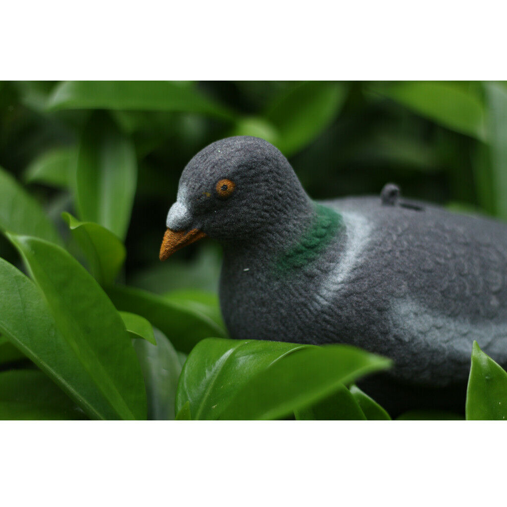 It's like a real artificial pigeon garden decoration decoy decoration
