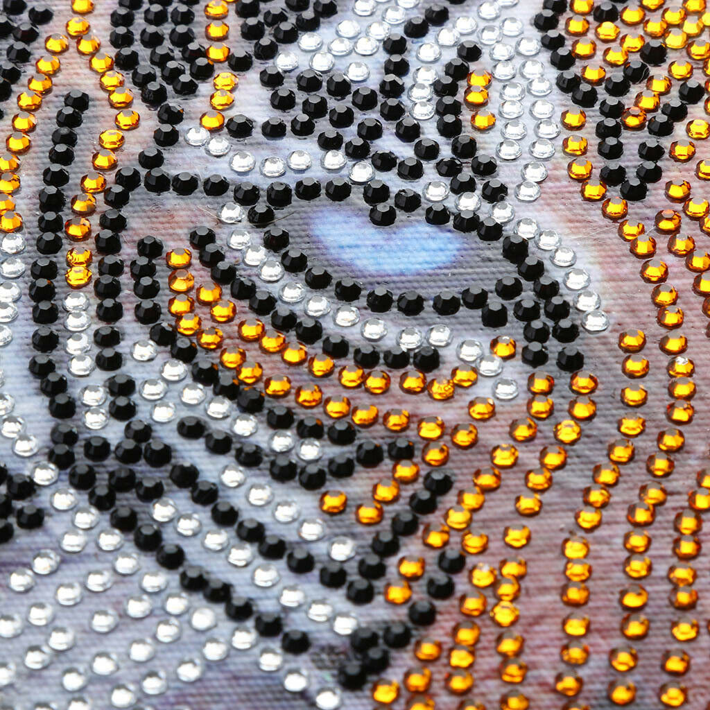 DIY 5D Diamond Painting , Tiger Crystal Rhinestone Embroidery Cross Stitch Arts