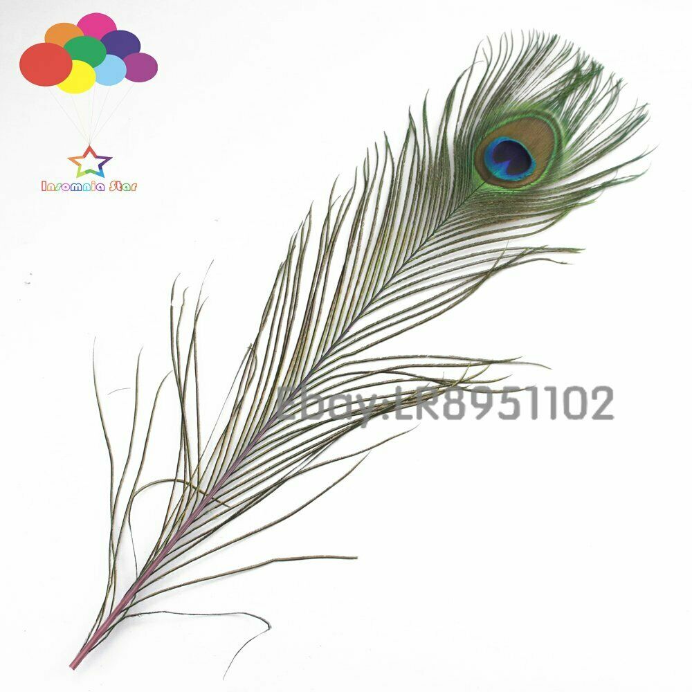 New 100 pcs / Lot pink Beautiful Peacock Feathers 40-45 cm DIY Weddings Reunions