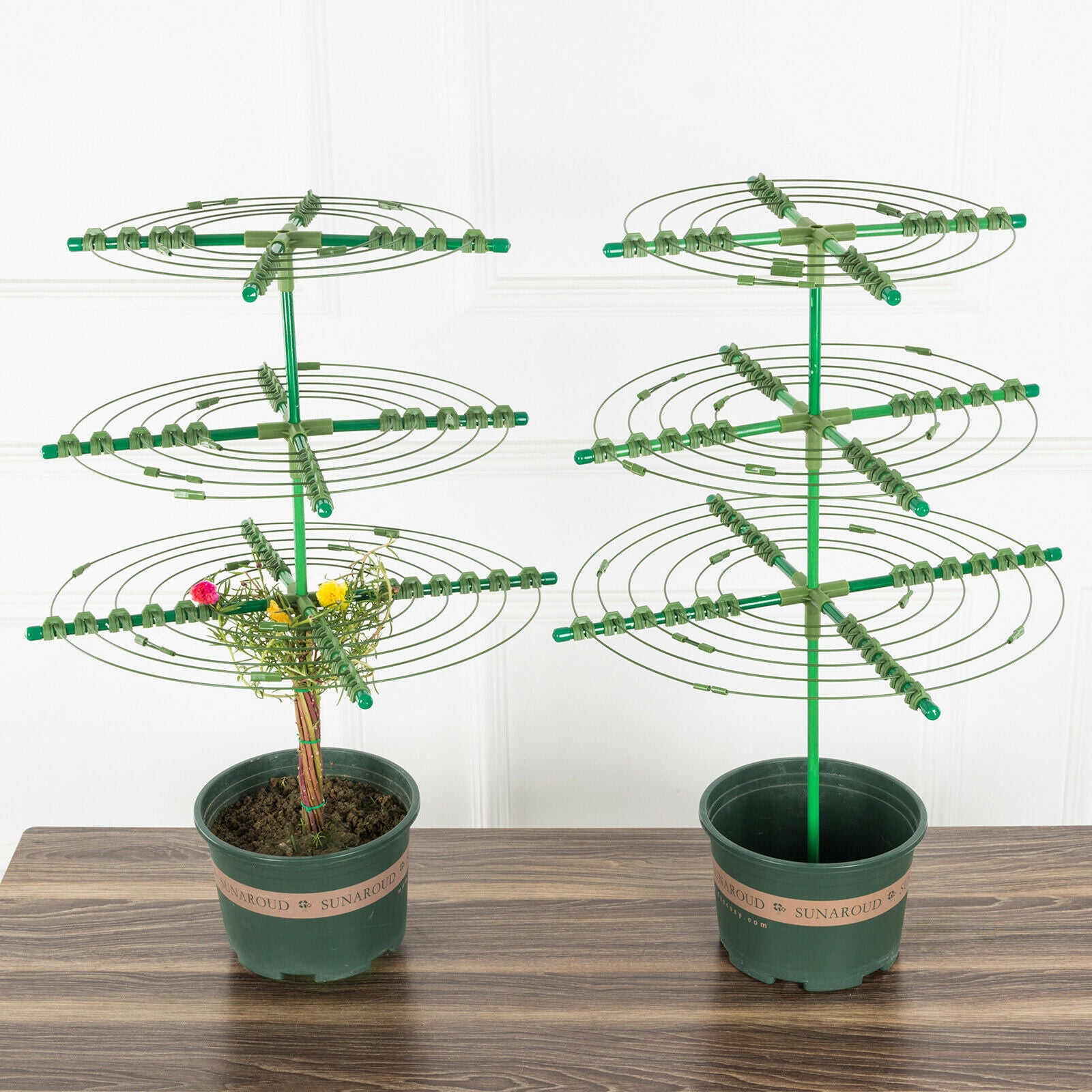 Garden Plant Support Cage Frame Ring Tie Metal Flower Climbing Frame Pile Set