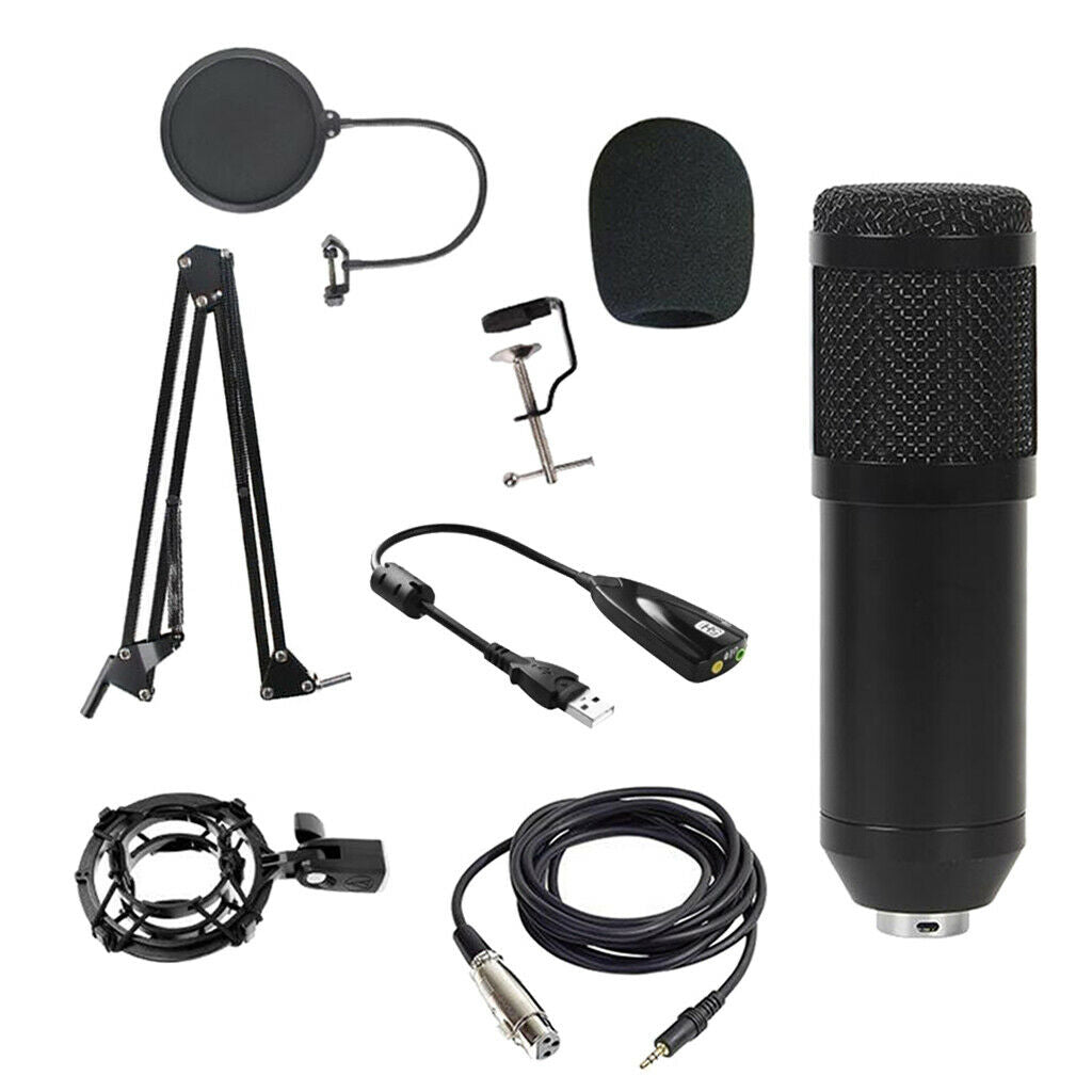 Condenser Microphone Kit for Studio Recording Black B with Sound Card