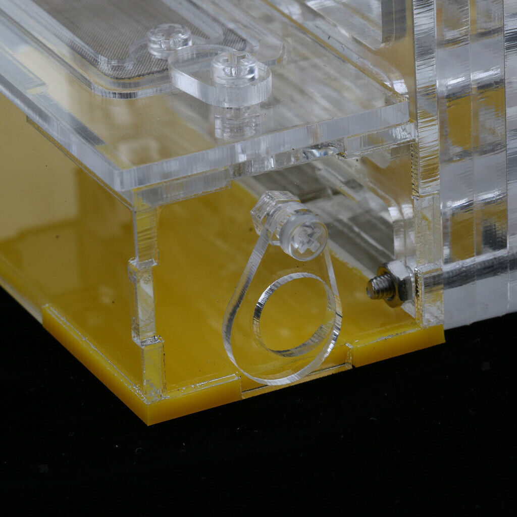 Safe & Reliable Ant Transparent 4x2x5 inch Feeding Box Formicarium