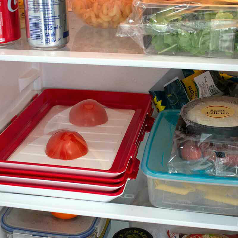 Tray Storage of The Food - System Freshness