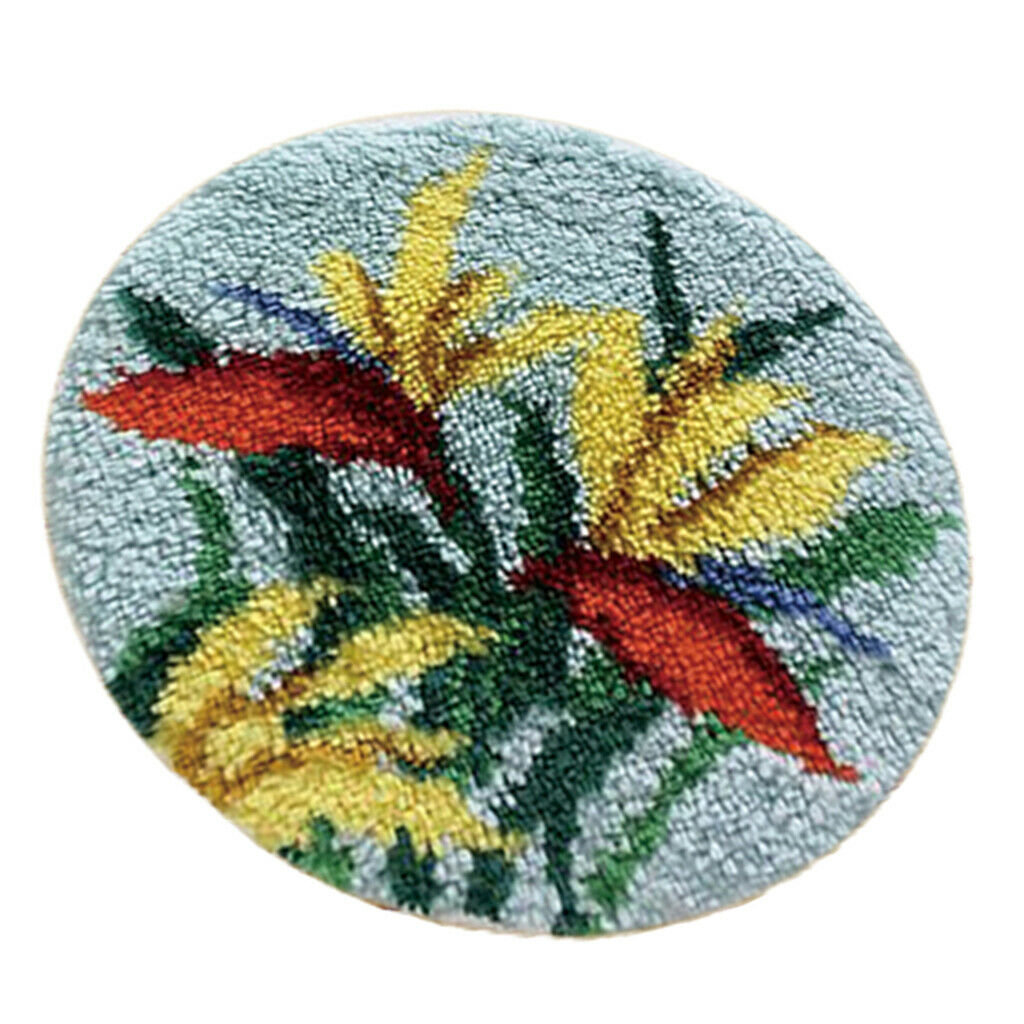Latch Hook Rug Kit with Basic Tools Carpet Rug Embroidery Package Handicraft