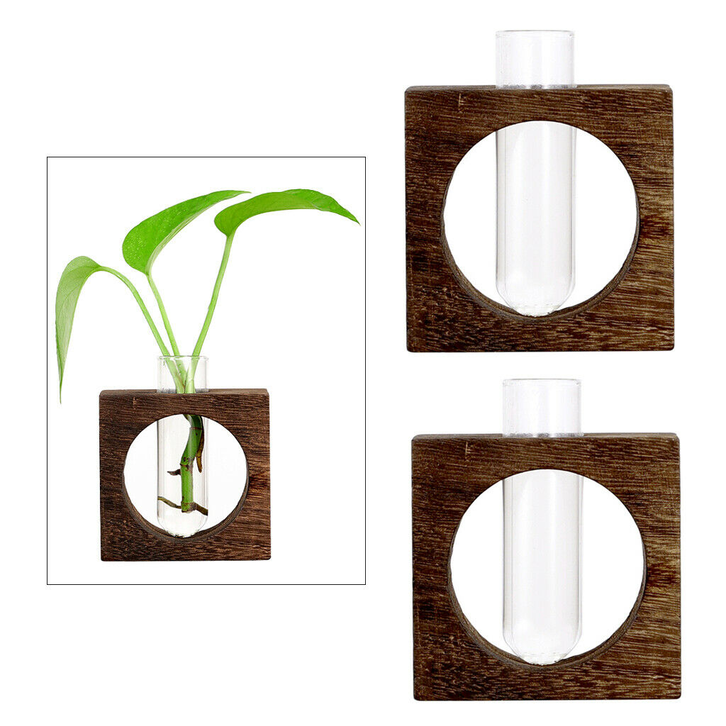 2x Tabletop Single Test Tube Vase Hydroponic Plants Planter Flower Pots