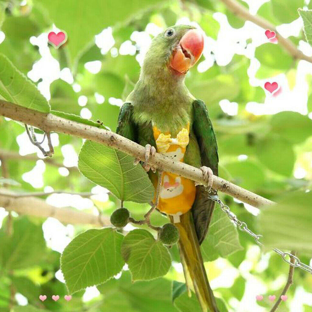Parrot Reusable Nappies Bird Adjustable Pocket Cloth Diaper Best Nappies M
