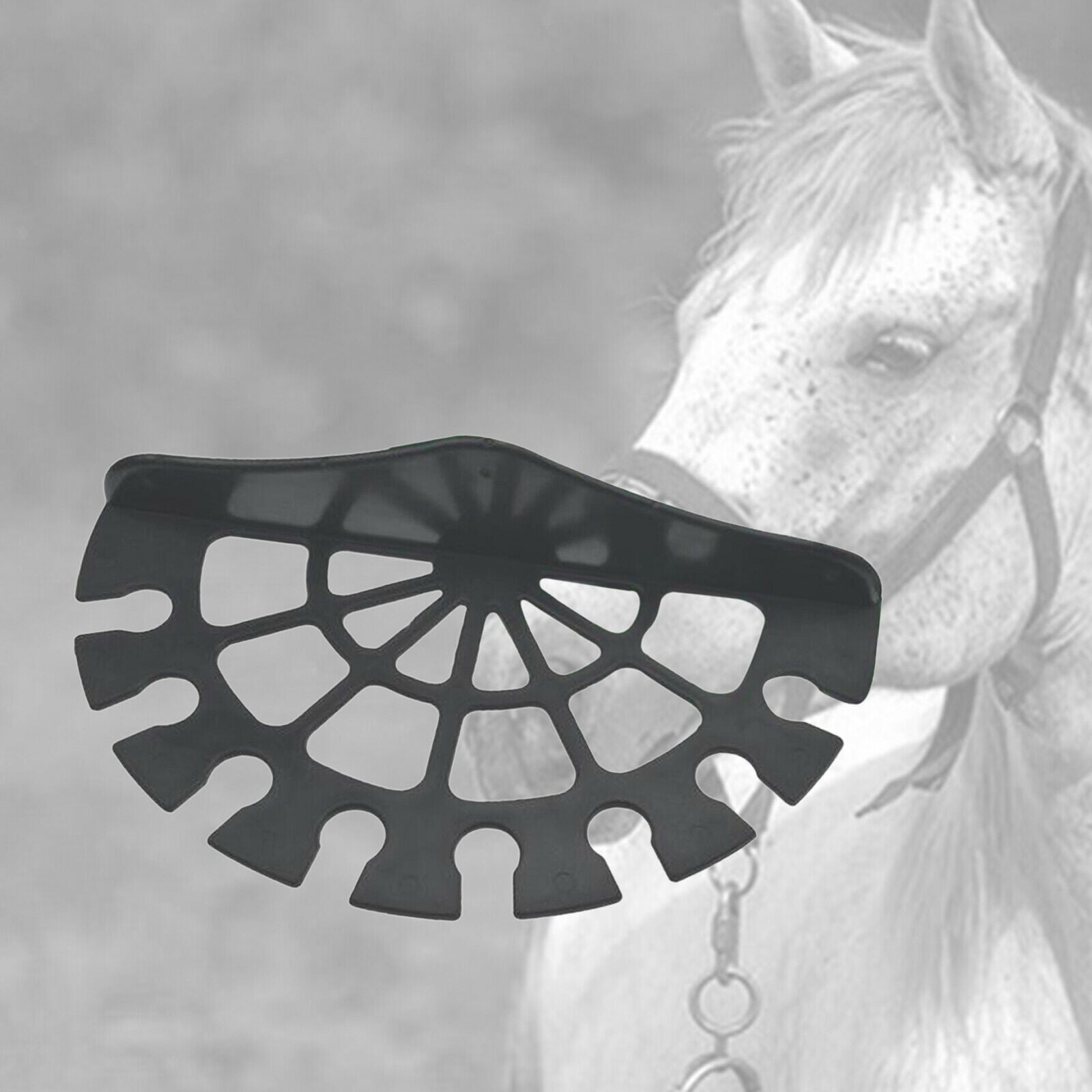 Horse Stables Crop Equipment Whip Rack Bracket Riding Whips Hanger Holder