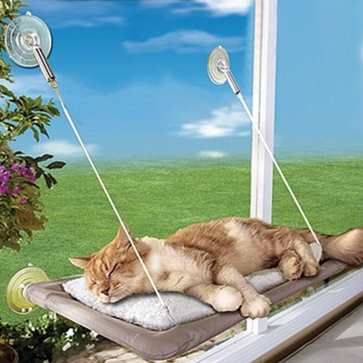 US Cat Puppy Window Mounted Basking Bed Pet Shelf Kitten Perch Seat High Hammock