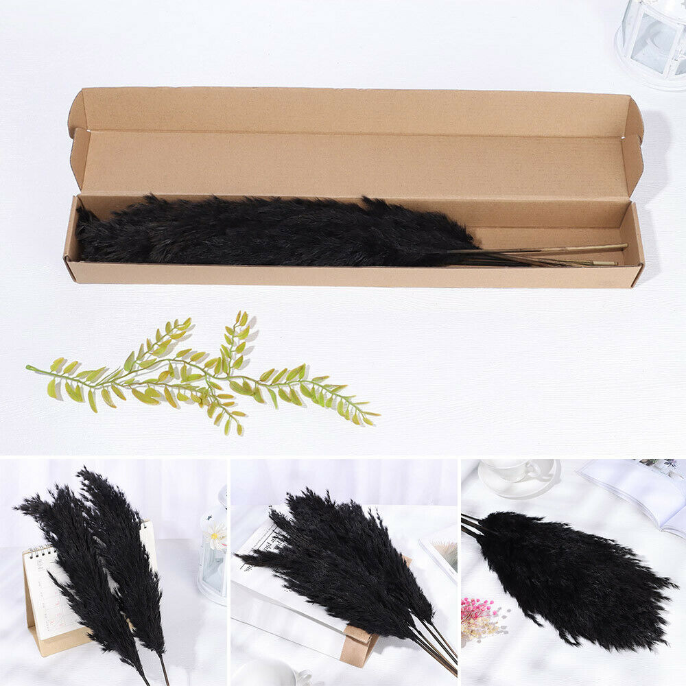 Material Pampas Grass Real Flower Reed Natural Dried Bouquets Plant Stems