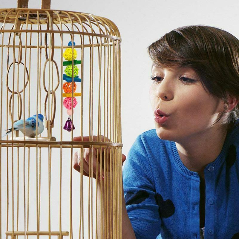 1X(6 Pack Bird Swing Toys-Parrot Hammock Bell Toys For Budgie,Parakeets, Coc4V9)
