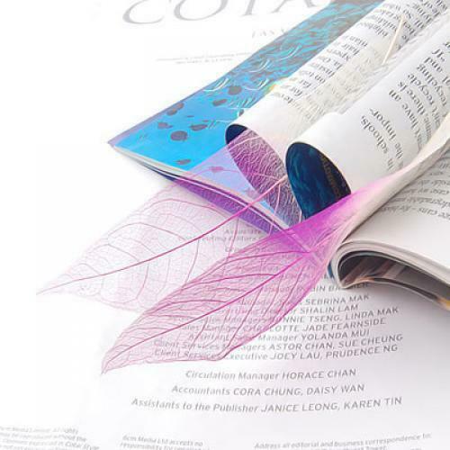 150pcs Natural Magnolia Skeleton Leaf Leaves for Card Making Scrapbooking