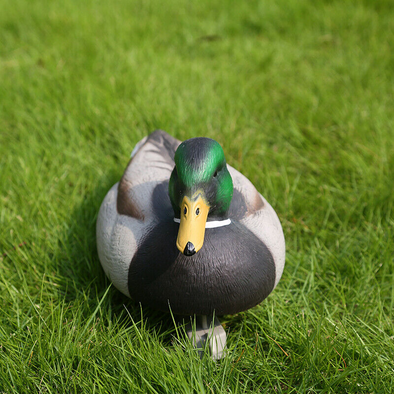 2x Fishing Hunting Decoy Plastic Duck Decoy Drake